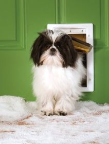 PetSafe Extreme Weather Pet Door - Small